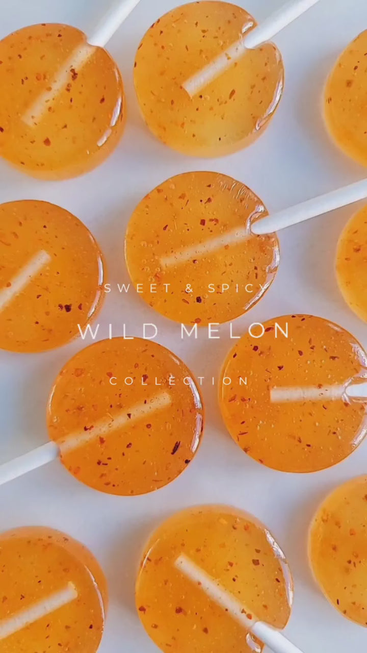 Fiesta Lollipop Collection — 6 Pack